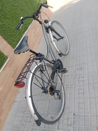 Bicicleta Urbana Gris