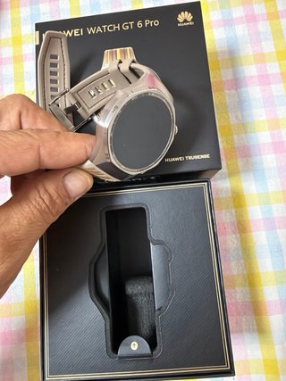 Huawei Watch GT 6 Pro - Oro/Plata
