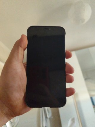 iPhone 12 Pro Max