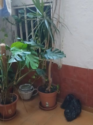 Fotografía 3
