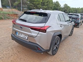 Lexus UX 250h Business 2WD 135 kW (184 CV)