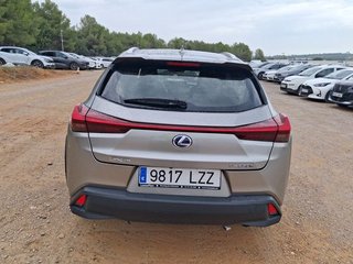 Lexus UX 250h Business 2WD 135 kW (184 CV)