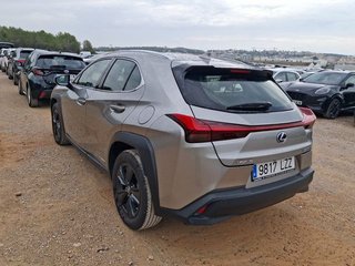 Lexus UX 250h Business 2WD 135 kW (184 CV)