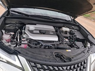 Lexus UX 250h Business 2WD 135 kW (184 CV)