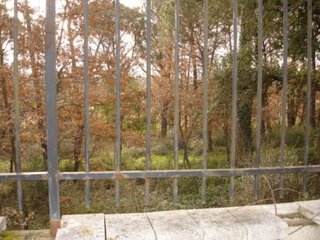 Fotografía 2