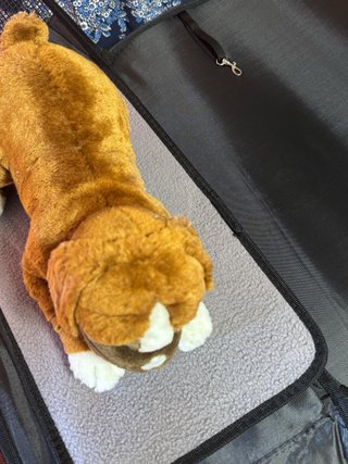 Transportín para Perro XS Homologado