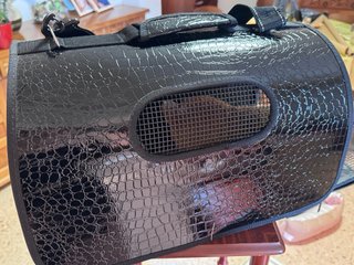 Transportín para Perro XS Homologado