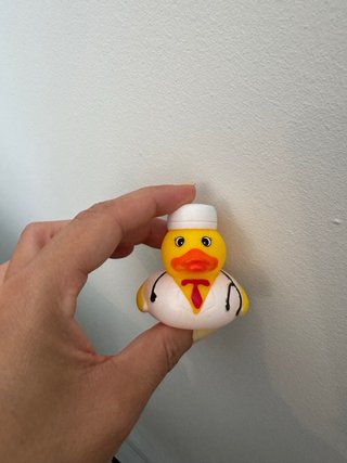 Juguete de Pato