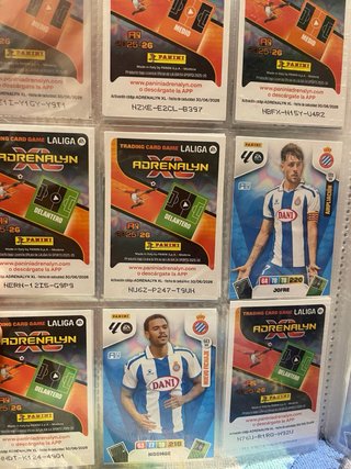 Cromos Adrenalyn XL 25/26  de Elche a Español