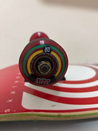 Skate Jart Calavera y Serpiente