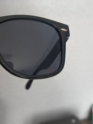 Gafas de sol Ray-Ban Wayfarer negras con funda