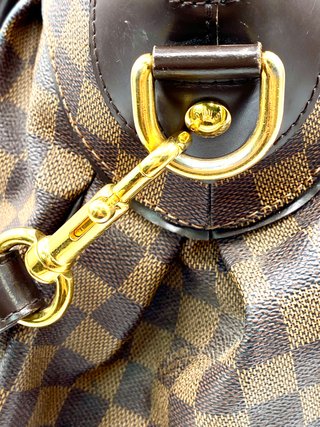 Bolso Louis Vuitton Trevi GM