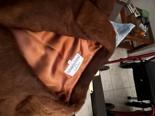 Traje Chaqueta Presen Rodríguez Marrón y blusa.
