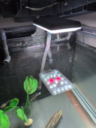 Acuario de Agua Dulce con Mueble