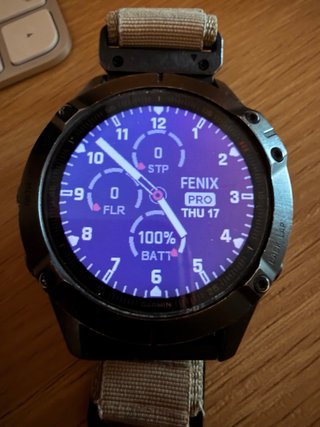 Garmin Fenix 6 Pro