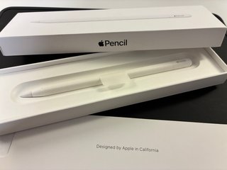 Apple Pencil USB-C EN GARANTIA
