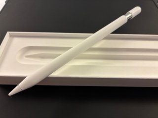 Apple Pencil USB-C EN GARANTIA