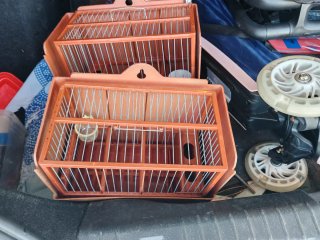 2 Jaulas de Reclamo para Jilguero nuevas c3
