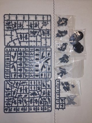 Exterminadores Cataphractii Herejía de Horus