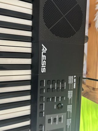 Teclado Alesis 300 Tones