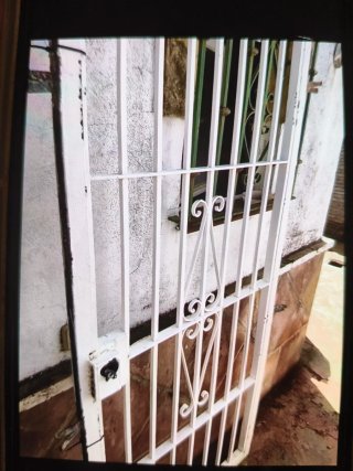 Puerta de Reja Blanca con Marco