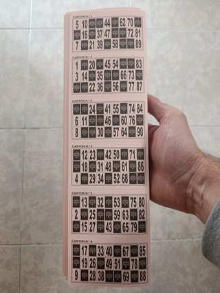 Lote de 6 Cartones de Bingo Rosa