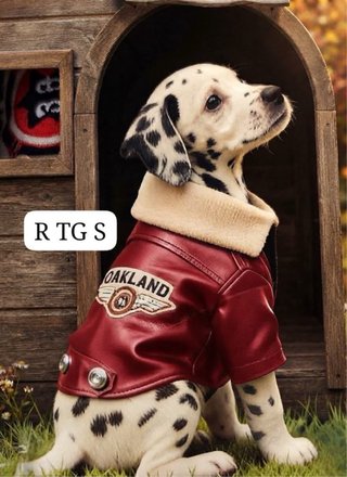 Giacca per cani Fancy Home taglia M