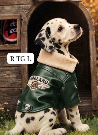 Giacca per cani Fancy Home taglia M