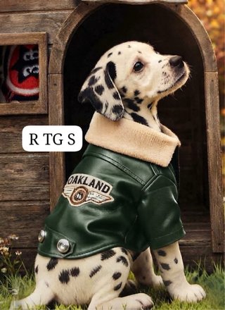 Giacca per cani Fancy Home taglia M