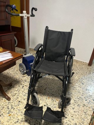 Salvaescaleras portátil
