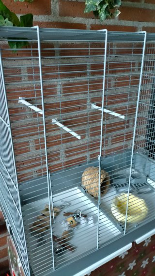 Jaula para pájaros grande