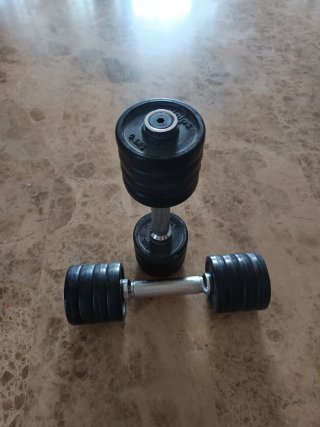 Mancuernas ajustables con discos
