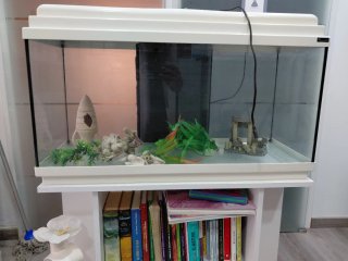 Pecera con Mueble Blanco