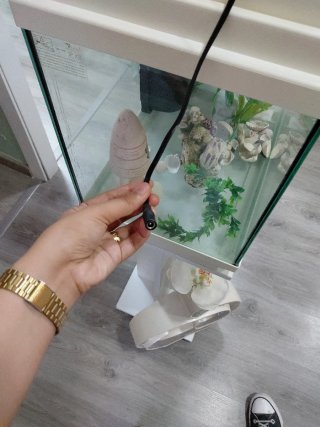 Pecera con Mueble Blanco
