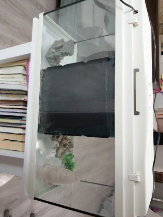 Pecera con Mueble Blanco