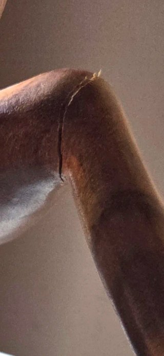 Statua pensatore legno