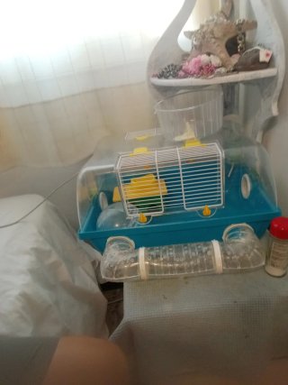Jaula para hámster con accesorios venta en mano