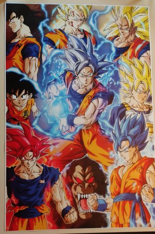 Poster Bola de Dragón 58x90 cm