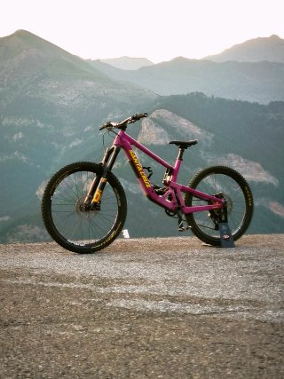 Santa Cruz Bronson L v5