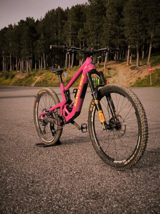 Santa Cruz Bronson L v5