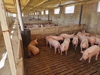 Terreno en venta en Los Cigarrales-La Bastida en Toledo