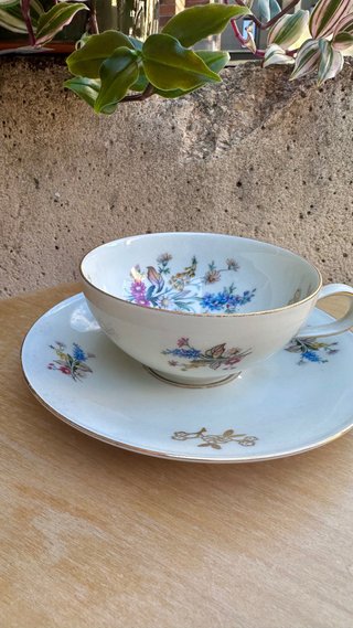 Taza y plato vintage Mitterteich Bavaria