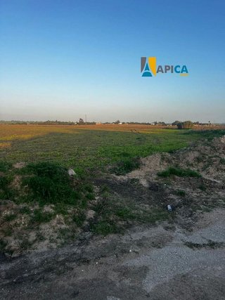 Terreno en venta en Pelagatos - Pago del Humo en Chiclana de la Frontera