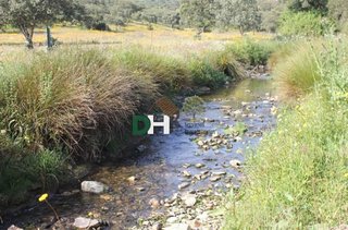 Terreno en venta en Ciudad Monumental en Cáceres