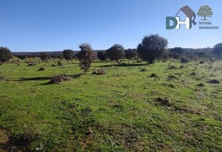 Terreno en venta en Ciudad Monumental en Cáceres