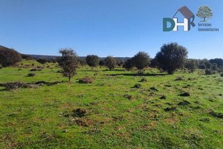 Terreno en venta en Ciudad Monumental en Cáceres