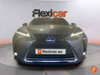 Lexus UX 2.0 250h Business
