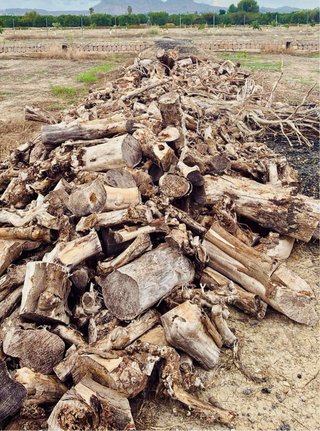 Leña para chimenea y barbacoa