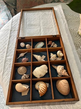 Caja decorativa antigua con conchas marinas.