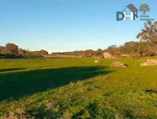 Terreno en venta en Pedanías de Cáceres en Cáceres